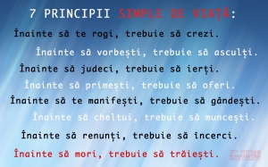 7principii