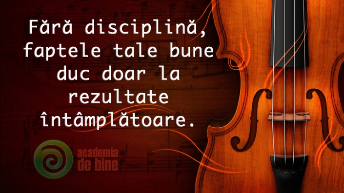 disciplina